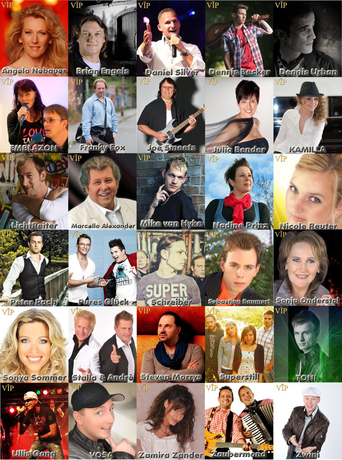 Casting Portal News | Deutschmusik Song Contest: Die Finalisten 2014